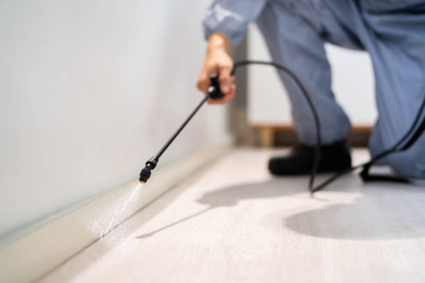 Licensed Pest Control service in Kingsport, TN - Show Me Pest Control