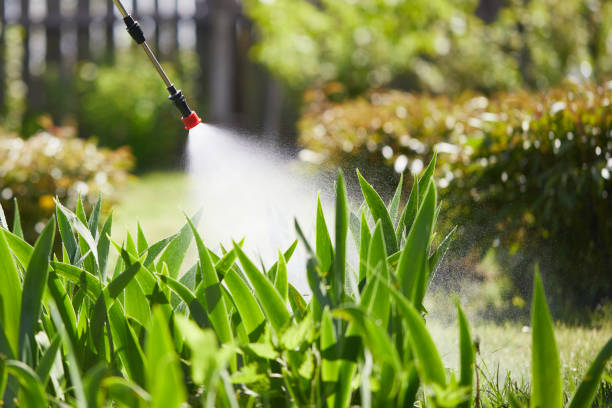 Tamper-Resistant Bait Stations for Rodents in Kingsport